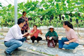 江苏省灌南县纪检监察干部在百禄镇南房村实地了解葡萄种植扶贫项目资金到位情况。